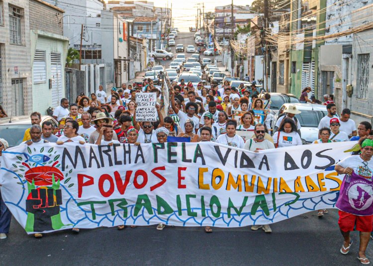 Viva Maria destaca aliança inédita para defender a Mata Atlântica neste 27
