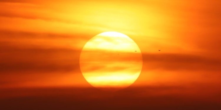 A breathtaking sunset with the sun setting behind clouds and birds flying across the vibrant sky.