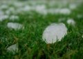 a group of ice cubes sitting on top of a lush green field