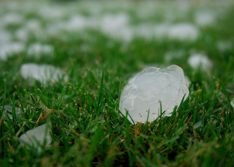 a group of ice cubes sitting on top of a lush green field
