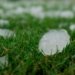a group of ice cubes sitting on top of a lush green field