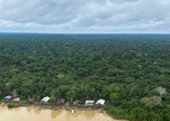 Antônia Soares de Brito Oliveira apresenta modelo de preservação no Mato Grosso