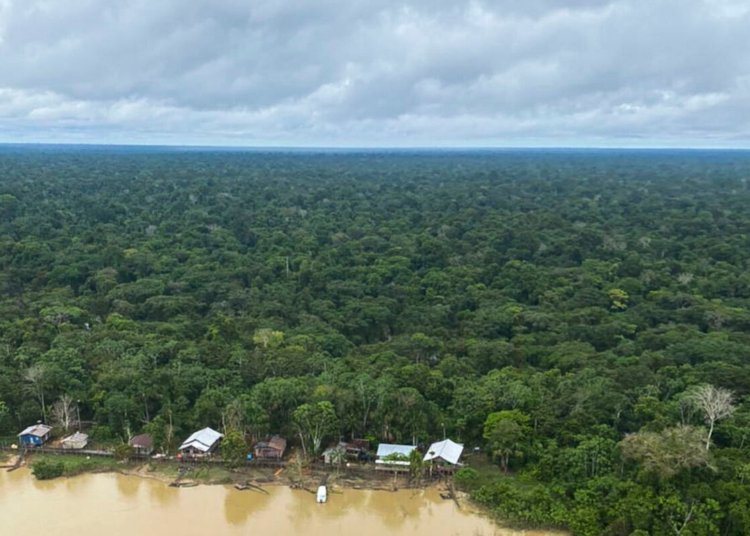 Antônia Soares de Brito Oliveira apresenta modelo de preservação no Mato Grosso