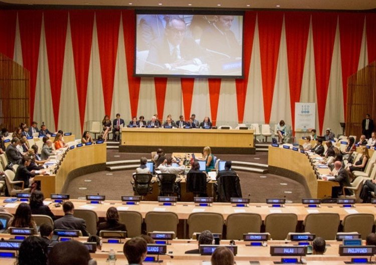 Brasil conquista vaga no principal conselho econômico da ONU