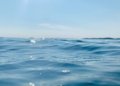 Brasil tenta estruturar fiscalização para proteger 30% de suas águas marinhas até o ano de 2030