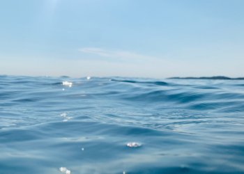 Brasil tenta estruturar fiscalização para proteger 30% de suas águas marinhas até o ano de 2030