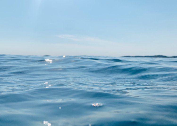 Brasil tenta estruturar fiscalização para proteger 30% de suas águas marinhas até o ano de 2030
