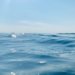 Brasil tenta estruturar fiscalização para proteger 30% de suas águas marinhas até o ano de 2030
