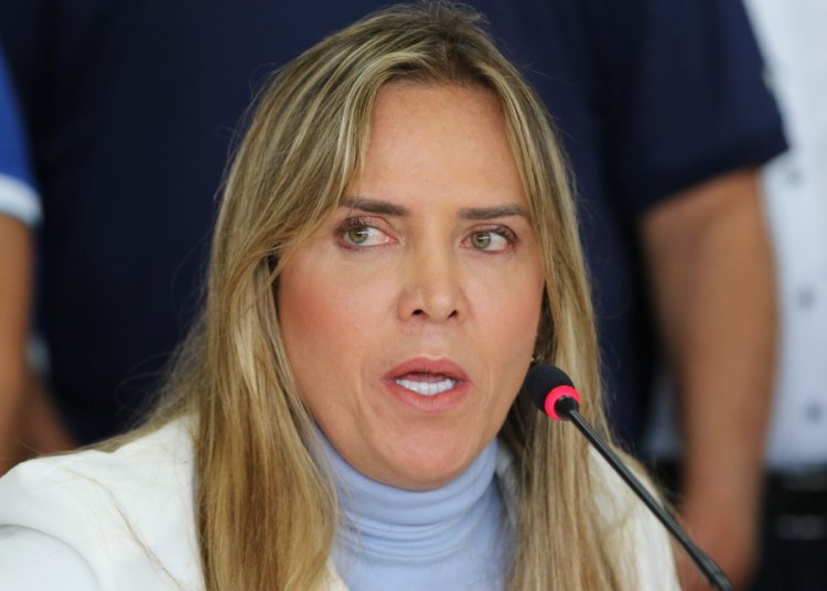 Celina Leão recebe alta de hospital em Brasília após tratamento de pneumotórax