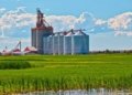 Credenciamento de armazéns agropecuários no sistema público agora é opcional
