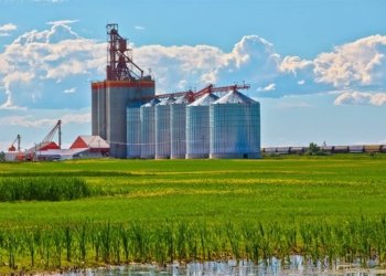 Credenciamento de armazéns agropecuários no sistema público agora é opcional