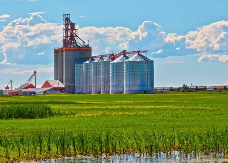 Credenciamento de armazéns agropecuários no sistema público agora é opcional