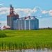Credenciamento de armazéns agropecuários no sistema público agora é opcional