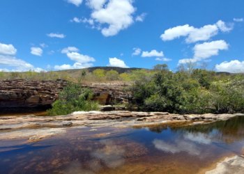 Desmatamento na Amazônia cai 61,4% em maio e soma 370 quilômetros quadrados de perda