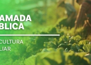 Edital de R$ 62 milhões para merenda escolar no Espírito Santo entra na reta final