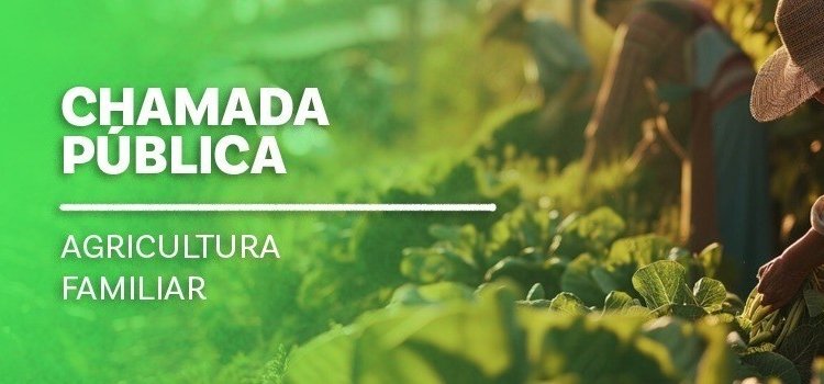 Edital de R$ 62 milhões para merenda escolar no Espírito Santo entra na reta final