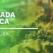 Edital de R$ 62 milhões para merenda escolar no Espírito Santo entra na reta final