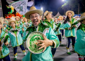 Fenasamba exige políticas federais permanentes para financiar escolas de samba em todo o Brasil