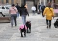 Frente fria forte provoca temporais no Sul e derruba a temperatura para 9 graus em São Paulo