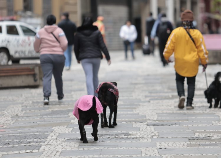 Frente fria forte provoca temporais no Sul e derruba a temperatura para 9 graus em São Paulo