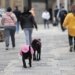 Frente fria forte provoca temporais no Sul e derruba a temperatura para 9 graus em São Paulo