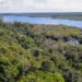 Fundo Amazônia amplia ritmo de aprovações e alcança média de 1,3 bilhão de reais por ano