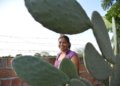 Gestão feminina ocupa uma a cada cinco fazendas no Brasil com foco na agricultura familiar
