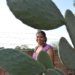 Gestão feminina ocupa uma a cada cinco fazendas no Brasil com foco na agricultura familiar