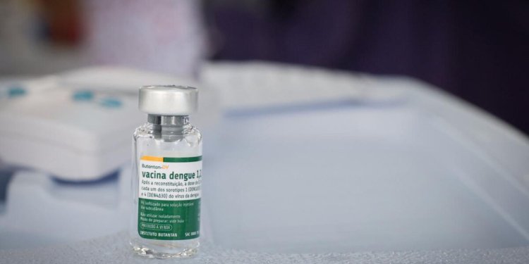 Instituto Butantan dá continuidade a testes clínicos de vacina contra dengue em grupo idoso