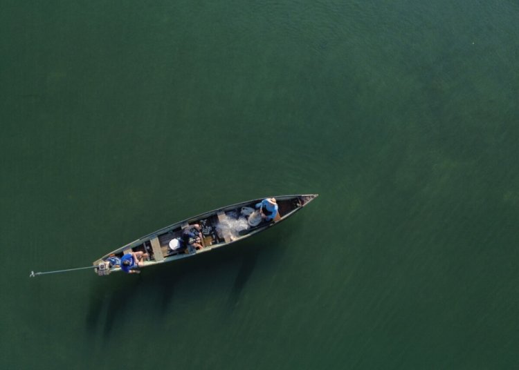 Lei Cota Zero em MT: entidades cobram agilidade do STF contra prejuízo milionário a pescadores