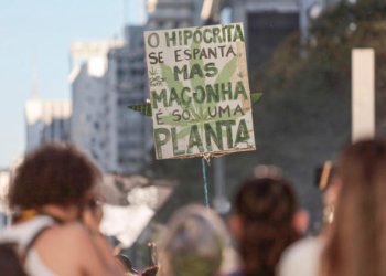 Marcha da Maconha reúne multidão na Avenida Paulista em defesa do uso terapêutico da planta