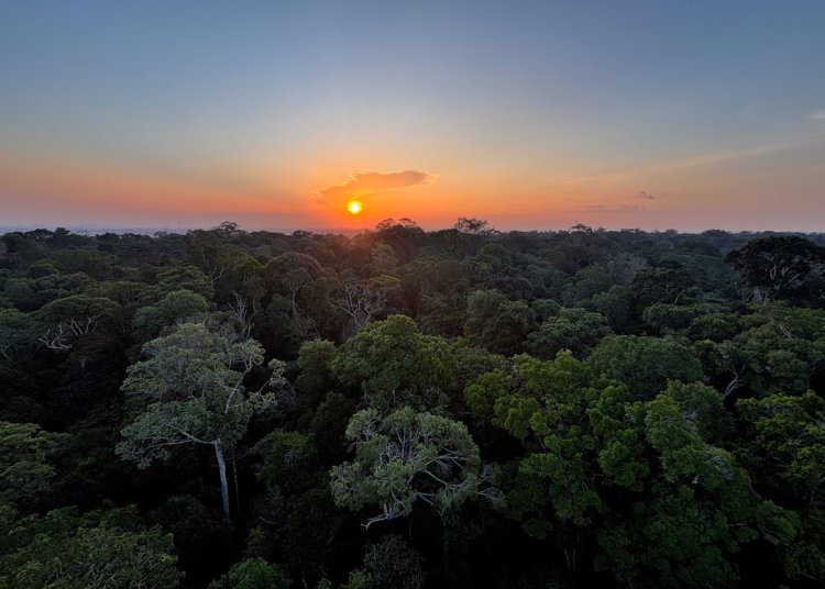 MEIO ambiente: VIVA maria destaca AÇÃO POR UM planeta saudável
