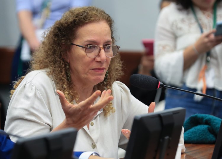Parlamentares brasileiros buscam reequilibrar narrativas nos EUA e blindar o Pix