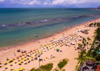 Pernambuco retoma vigilância de tubarões na orla após uma década de hiato técnico