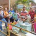 Programa federal eleva em até 30% a renda de agricultores familiares pelo país