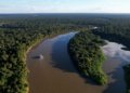 Reino Unido faz nova doação ao Fundo Amazônia e vira segundo maior doador