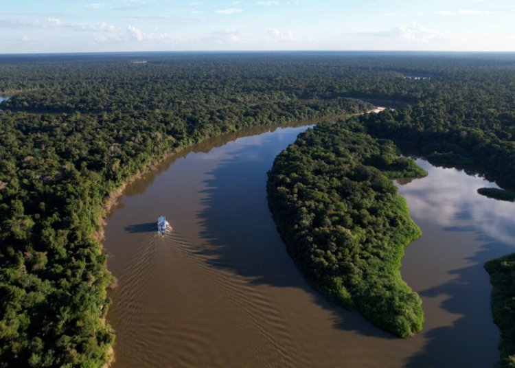 Reino Unido faz nova doação ao Fundo Amazônia e vira segundo maior doador