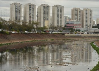 Rio Tietê não apresenta trecho limpo e acumula poluentes em toda sua extensão