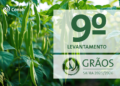 Safra brasileira de grãos ruma para recorde histórico de 358,6 milhões de toneladas