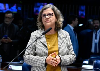 Teresa Leitão assume a liderança do governo no Senado após saída de Jaques Wagner