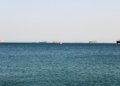 A tranquil ocean view featuring several cargo ships on the horizon under a clear sky.