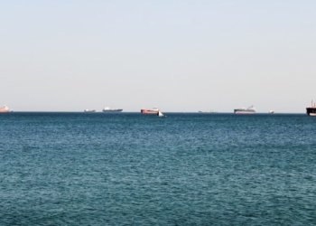 A tranquil ocean view featuring several cargo ships on the horizon under a clear sky.