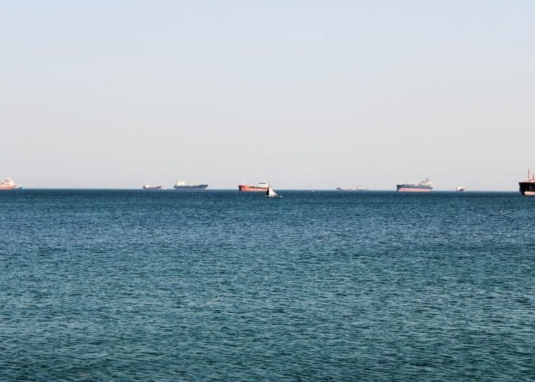 A tranquil ocean view featuring several cargo ships on the horizon under a clear sky.