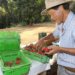 Agricultura familiar receberá R$ 220 milhões para modernizar produção no campo