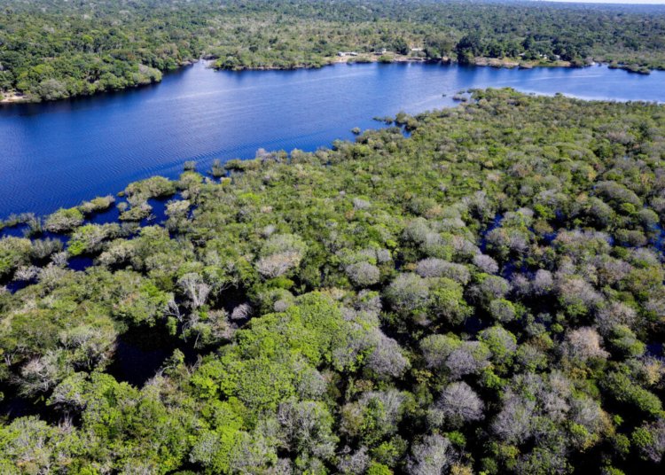 Amazônia registra menor área desmatada em duas décadas durante o mês de junho