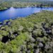 Amazônia registra menor área desmatada em duas décadas durante o mês de junho
