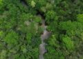 Brasil registra queda de 31% na área atingida pelo fogo ao longo de 2025