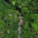 Brasil registra queda de 31% na área atingida pelo fogo ao longo de 2025
