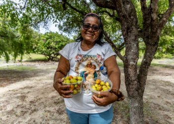 Catadoras de mangaba enfrentam cerco imobiliário para salvar tradição em Aracaju