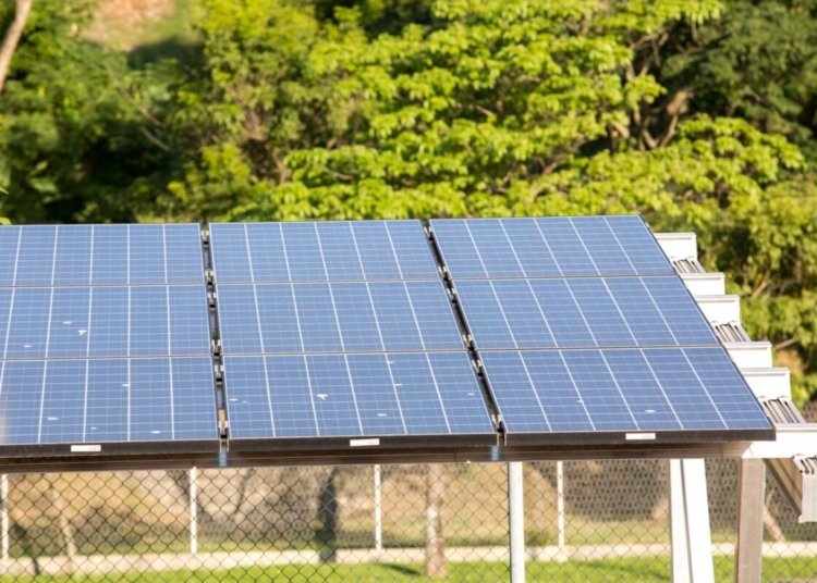 CMN estabelece regras para fundos de inovação voltados à transição ecológica no Eco Invest